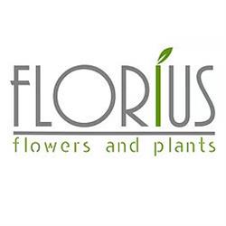 Florius Flower And Plants