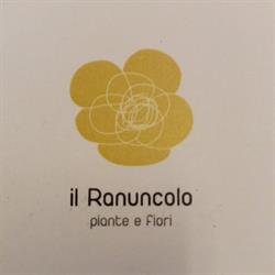 Fiori e Piante Il Ranuncolo