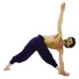 Cuola di Hatha Yoga Hamsa di Morelli Maurizio