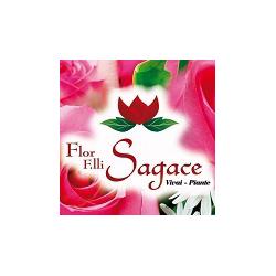 Flor F.lli Sagace