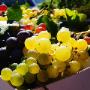 Alimenti Naturali