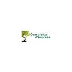 A.B.C.G. Consulting Sas