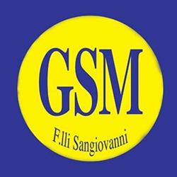 Gsm Servizi