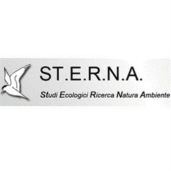 ST.E.R.N.A.