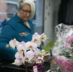 Finalmente da POL di Ferrari Paola