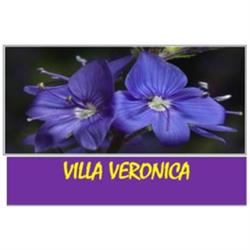 Villa Veronica