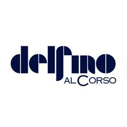 Delfino al Corso