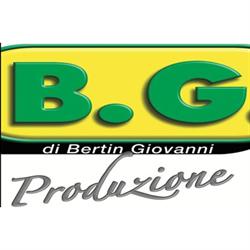 B.G. di Bertin Giovanni