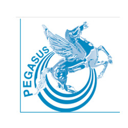 Centro Medico Polispecialistico e Fisiokinesiterapico Pegasus