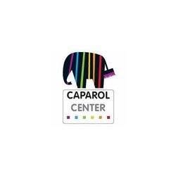 Service Farbe Caparol Store