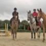 A.S.D. CENTRO EQUESTRE MUNTARRUNE