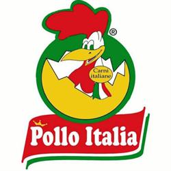 Nuova Food s.r.l.