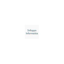 Sviluppo Informatica