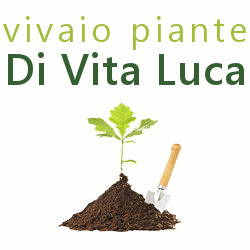 Azienda Agricola di Vita Luca