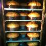 Panettone