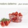 Ciliegino