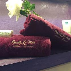 Beauty Le Viole