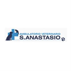 Ambulatorio Veterinario San Anastasio