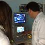 Ortopedia Vetclinic
