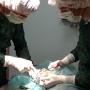 Ortopedia Vetclinic