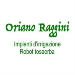 Raggini Irrigazioni e Robot Tosaerba