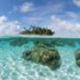 Maldive