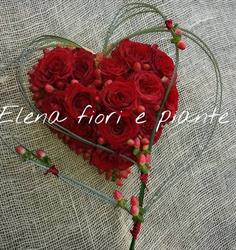 Fiori e Piante Elena Romeo