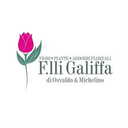 Fiori F.lli Galiffa