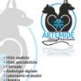 Clinica Veterinaria Artemide