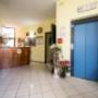 Gallery Professionale