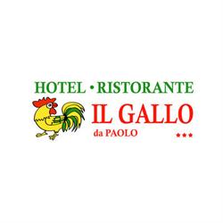 Ristorante -  Hotel Il Gallo