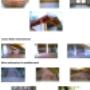 Caricato da visitatore il 03/07/2017 - Book fotografico