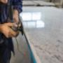 Gallery Professionale