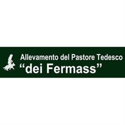 Allevamento Pastore Tedesco dei Fermass