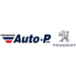 Autofficina Auto P. Service