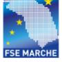 Fse Marche