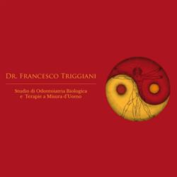 Dr. Francesco Triggiani