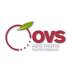Ovs  Asta Frutta Castelfirmiano