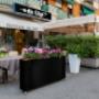 Gallery Professionale