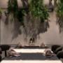 Gallery Professionale