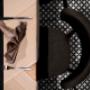 Gallery Professionale