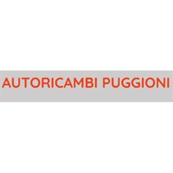 Autoricambi Puggioni