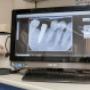 Gallery Professionale