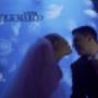 Wedding Film