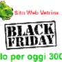 sito web a 300 euro