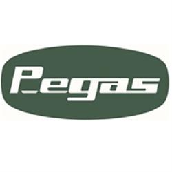 Pegas Srl