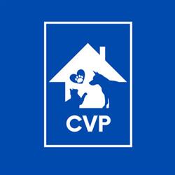Pronto Soccorso Veterinario 24h - Clinica Veterinaria Ponte Felcino