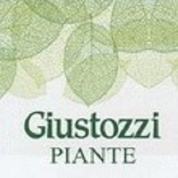Giustozzi Piante