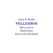 Auto e Radio Pellegrin Alessandro