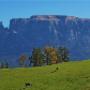 Veduta Panoramica